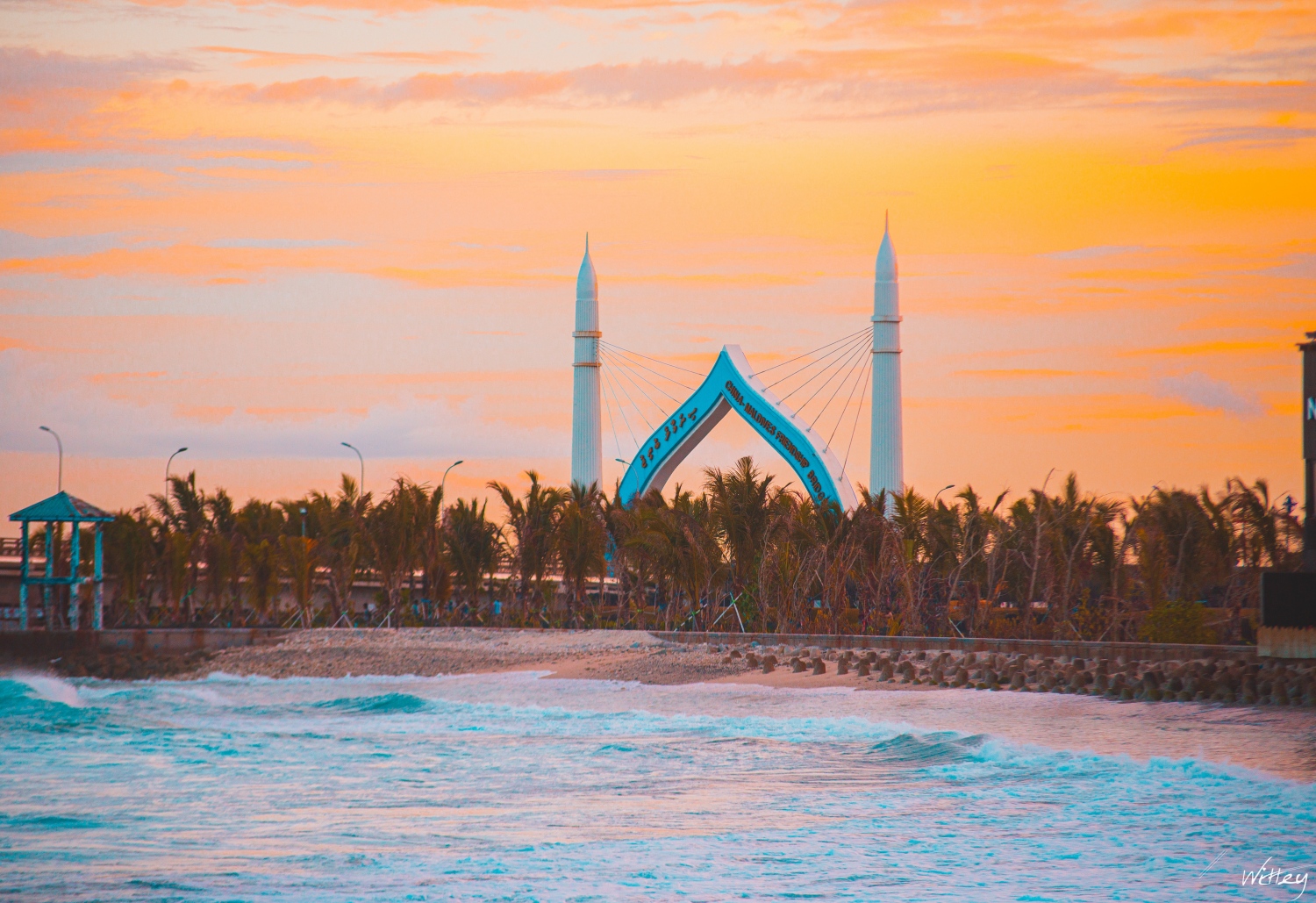 ފޮޓޯ: ވިއްޓެ