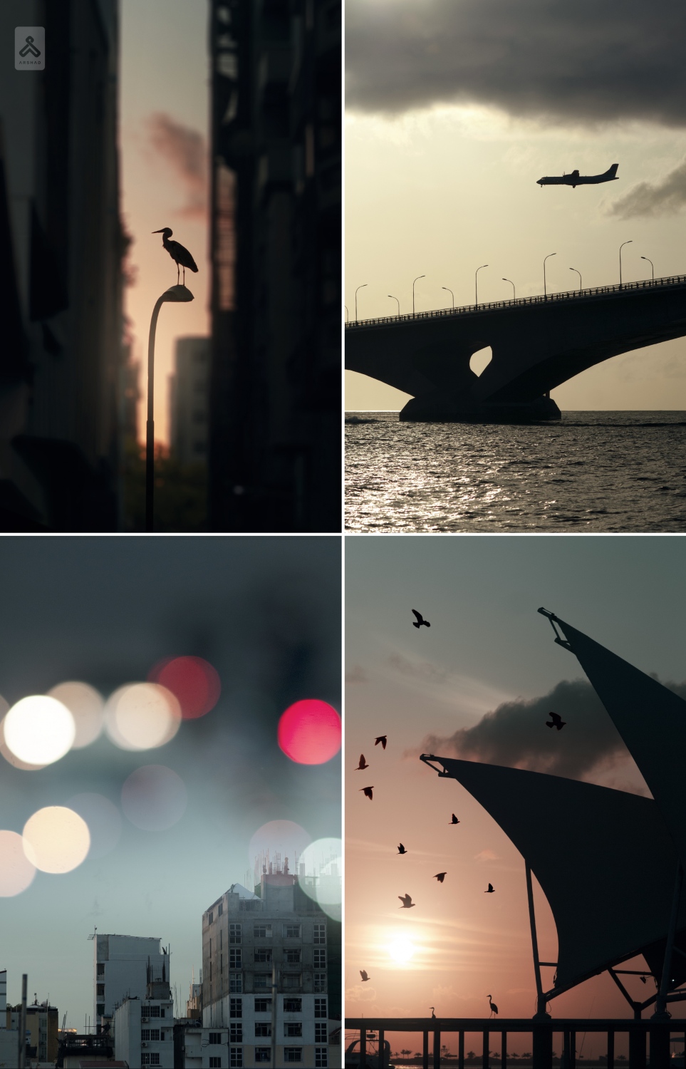 ފޮޓޯ: މުހައްމަދު އަރްޝަދު