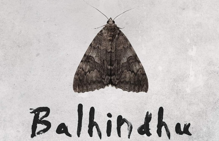 "ބަޅިނދު" ގެ ދައްކައިލުމެއް