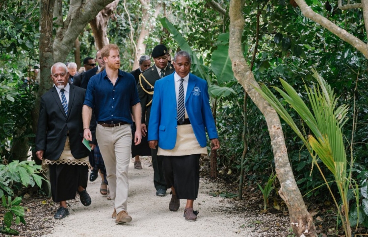 ގަސް ހެއްދުމަށް ބާރުއަޅަން ޕްރިންސް ހެރީގެ ކެމްޕޭނެއް