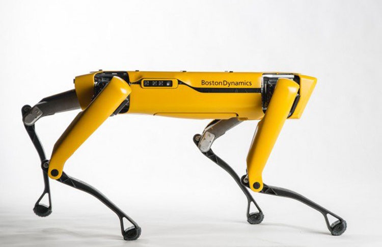 ރޮބޮޓް ކުއްތާ ވިއްކަން ފަށަނީ