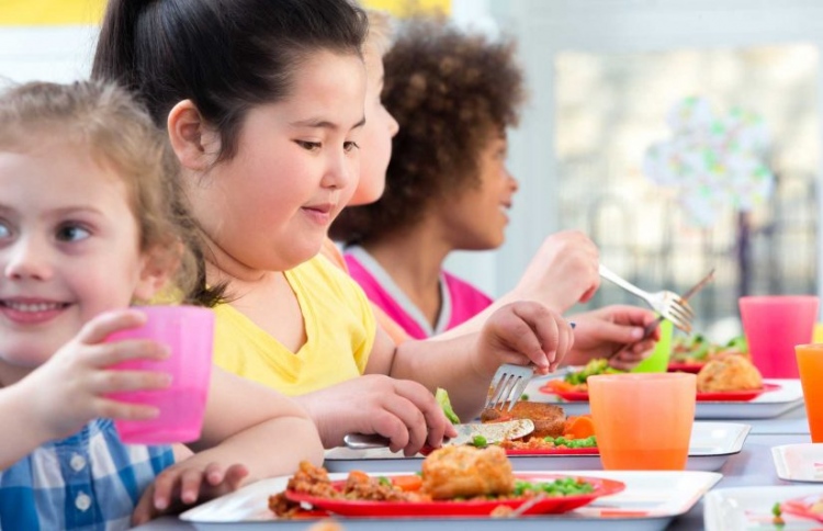 ފަލަކުދިންގެ އަދަދު 2030 ގައި 250 މިލިއަނަށް