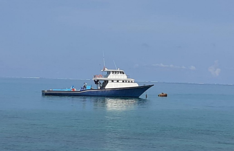 މަލިކު ސަރަހައްދުން ދިވެހި ދޯންޏެއް ހިފަހައްޓައިފި