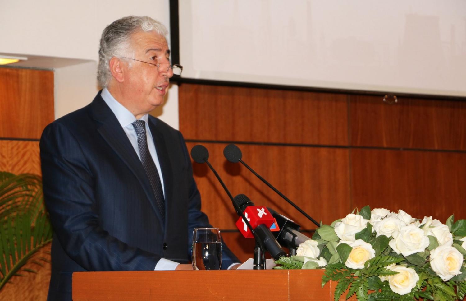 އައިޓީއެފްސީގެ ސީއީއޯ ވާހަކަ ދައްކަވަނީ-- ފޮޓޯ: ފިނޭންސް މިނިސްޓްރީ