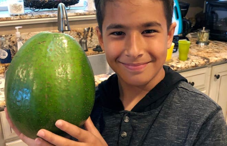 އެންމެ ބަރު އެވޮކާޑޯގައި ދެ ކިލޯ