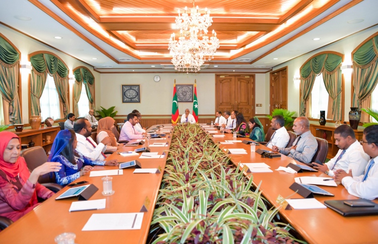 އެކަނިވެރި މައިންނަށް ދޭ އެލަވަންސް ބޮޑުކުރަނީ