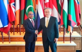 Foreign Minister Shahid meets Foreign Minister of Thailand. PHOTO: FOREIGN MINISTRY