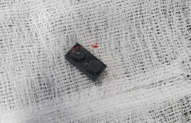 ކުއްޖެއްގެ ފުއްޕާމެއިން "ލެގޯ ބްރިކް" އެއް ނަގައިފި