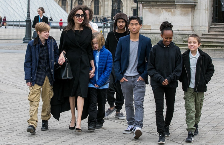 ދަރިން އެކްޓިން އަށް ޝައުގުވެރިކަމެއް ނެތް: ޖޮލީ