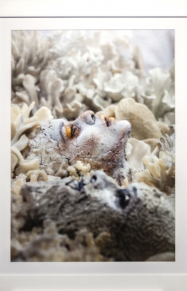 Mohamed Azmeel offers a deep look into the plight of coral reefs. PHOTO: AHMED AIHAM / THE EDITION