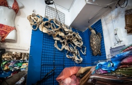 Maldives Illegal Wildlife Trade, a photo-feature by Andy Ball.