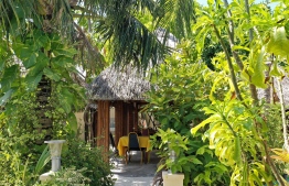 The flora surrounding the outdoor dining area of Kottafaru Guesthouse. PHOTO: HAWWA AMANY ABDULLA/ THE EDITION