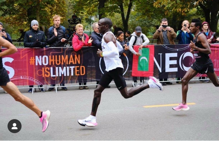 އެލިއޫޑްގެ އެ ދުވުމުގައި ފާހިރު ދިވެހި ދިދަ ހިިފައިގެން