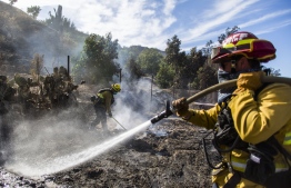 Firefighters from Santa Fe Springs battle to control hotspots of the Maria Fire, in Santa Paula, Ventura County, California on November 02, 2019. - The Maria Fire erupted October 31 in Ventura County, 65 miles (105 kilometers) northwest of Los Angeles, and burned out of control through the night, driven by high winds and threatening 2,300 structures. (Photo by Apu Gomes / AFP)