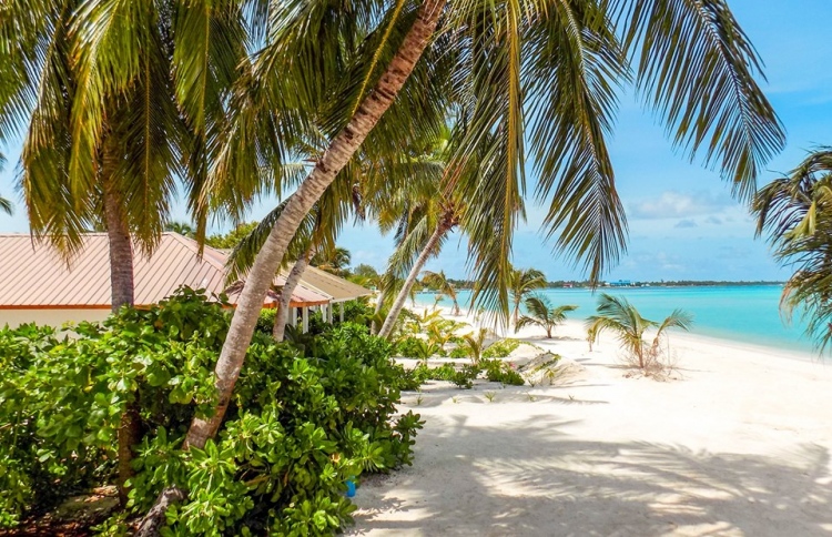 އައްޑޫން ޓޫރިޒަމަށް ދޫކުރަނީ 96 ބިން