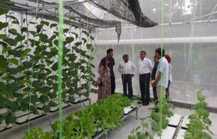 އައިދޫގައި ދަނޑުވެރިކަން ރަސްމީކޮށް ފަށައިފި