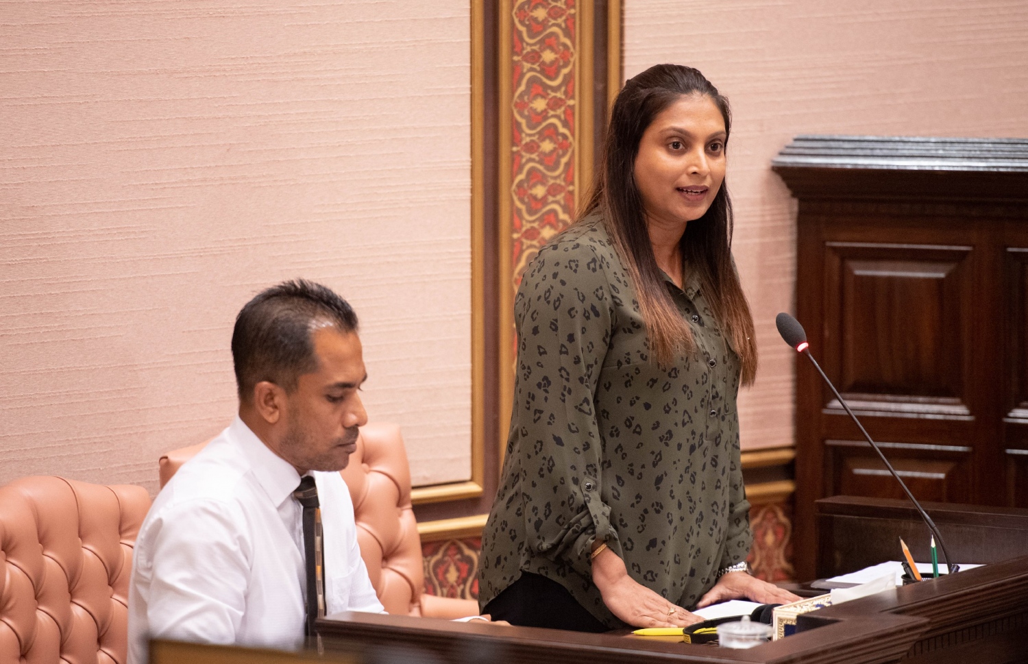 އެޑިއުކޭޝަން މިނިސްޓަރު ޑރ. އައިޝަތު އަލީ މިއަދު މަޖިލިހުގައި ވާހަކަ ދައްކަވަނީ. --- ފޮޓޯ: މަޖިލިސް