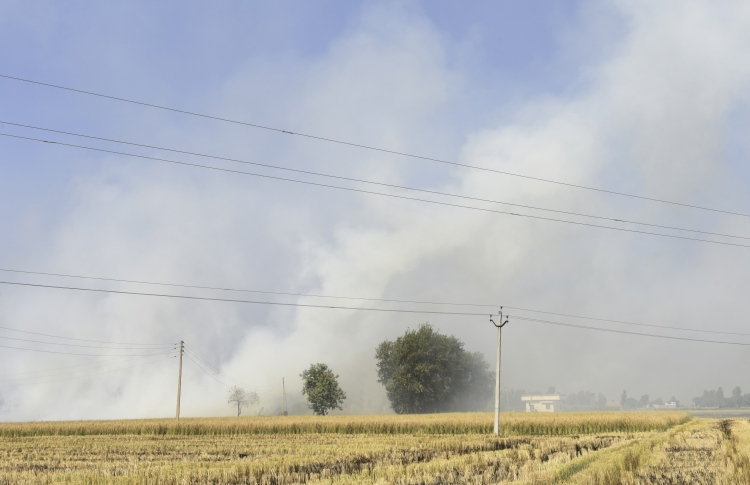 ކުނި އެންދުން ނޫންގޮތެއް ނެތް: އިންޑިއާގެ ދަނޑުވެރިން