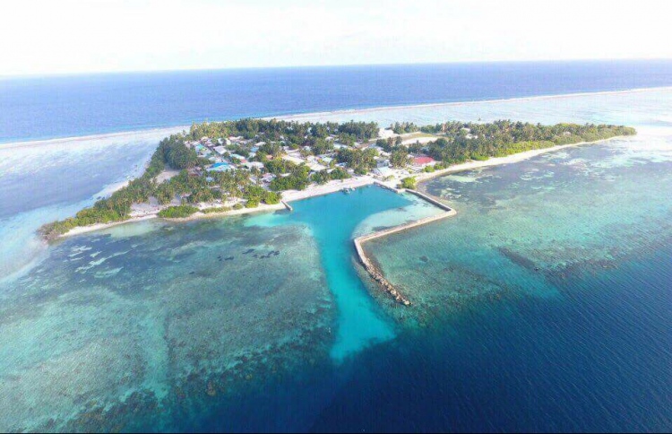 ގާދިއްފުށީގައި ހުމެއް ފެތުރެނީ، ޑޮކްޓަރު ޗުއްޓީގައި!