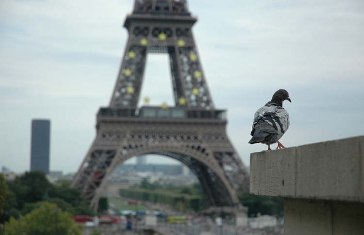 ކޮތަރުތަކަށް އިންސާނުންގެ އިސްތަށީގެ ތުރާ