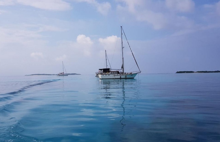 ޔޮޓު ރެލީއަށް ހާއްސަ ޓުއާ ގައިޑުން ތަމްރީން ކުރަނީ