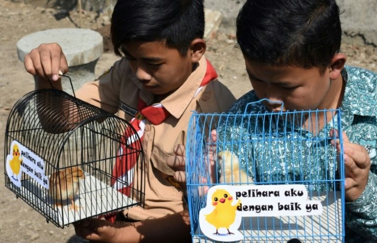 ފޯނާ ދުރުކުރަން ކޮންމެ ކުއްޖަކަށް ފިޔޮކެއް