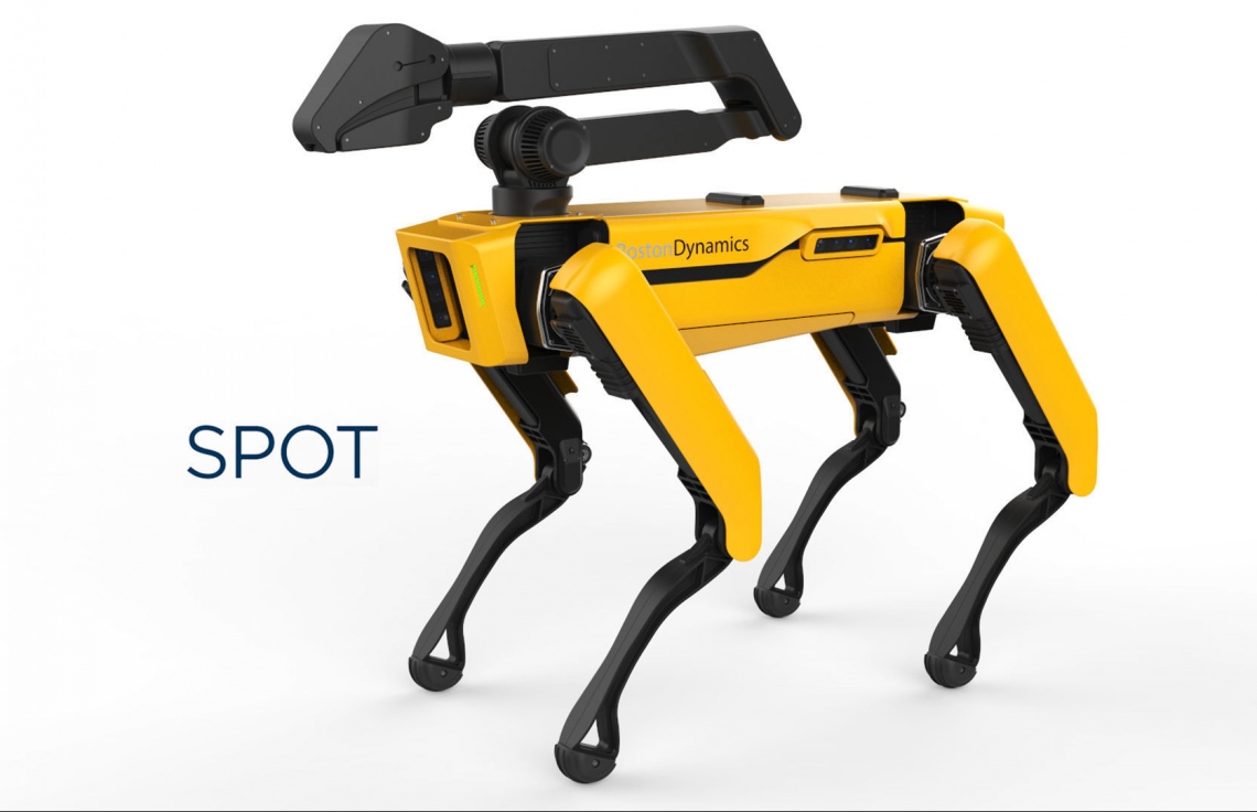 ފުލުހުން ރޮބޮޓް ކުއްތާ ބޭނުންކުރާތީ ކަންބޮޑުވުން