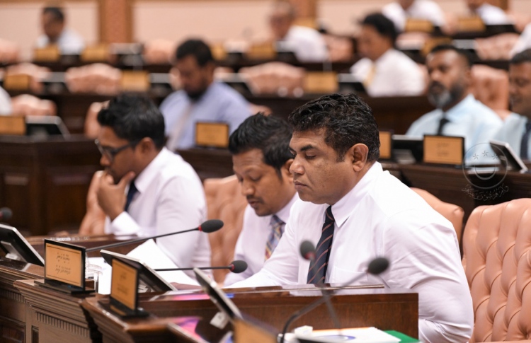 އަންހެނުންނަށް 33 ޕަސެންޓް ހާއްސަކުރަން ފާސްކޮށްފި