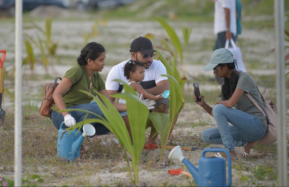 ހުޅުމާލެ- 07 ޑިސެމްބަރ 2019: ކްލީން މޯލްޑިވްސްއިން އިންތިޒާމްކޮށްގެން "ގޯ ގްރީން" ނަމުގައި ކުރިއަށް ގެންދިޔަ ގަސް އިންދުމުގެ ހަރަކާތުގައި ތެރެއިން ، މިހަރަކާތުގައި ކްލީން މޯލްޑިވްސްގެ ފަރާތުންވަނީ 500 މަގޫ ގަހާއި 500 ރުއް އިންދާފައި --. ފޮޓޯ: ރައީސް އޮފީސް