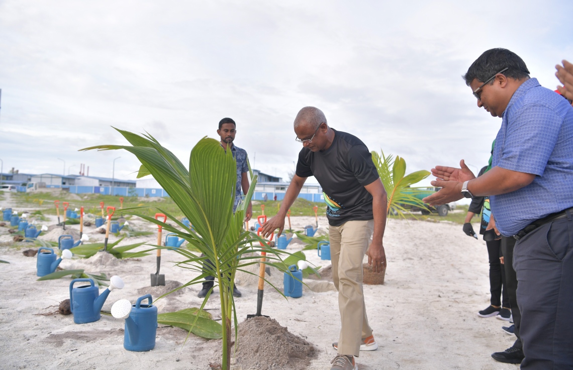 ހުޅުމާލެ- 07 ޑިސެމްބަރ 2019: ކްލީން މޯލްޑިވްސްއިން އިންތިޒާމްކޮށްގެން "ގޯ ގްރީން" ނަމުގައި ކުރިއަށް ގެންދިޔަ ގަސް އިންދުމުގެ ހަރަކާތުގައި ރައީސް އިބްރާހިމް މުހައްމަދު ސޯލިހް ގަސް އިންދަނީ، މިހަރަކާތުގައި ކްލީން މޯލްޑިވްސްގެ ފަރާތުންވަނީ 500 މަގޫ ގަހާއި 500 ރުއް އިންދާފައި --. ފޮޓޯ: ރައީސް އޮފީސް