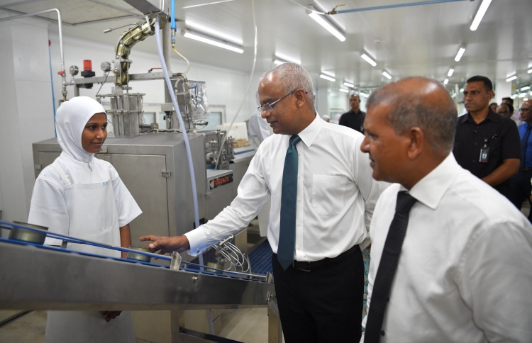 "މަސްވެރިކަމުގެ ދާއިރާގެ އެންމެ ކުރީގައި އެންސިސް"