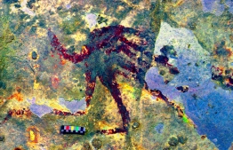 This handout photography released by Griffith University on December 11, 2019, shows cave art inside Bulu Sipong 4, Sulawesi, Indonesia. - A hunting scene painted 44,000 years ago, the oldest known to date, whose half-human, half-animal representations suggest a successful artistic culture, or even the beginnings of a religion, was discovered in a prehistoric cave in Indonesia, has been revealed in a study on December 11. (Photo by RATNO SARDI / GRIFFITH UNIVERSITY / AFP) / 