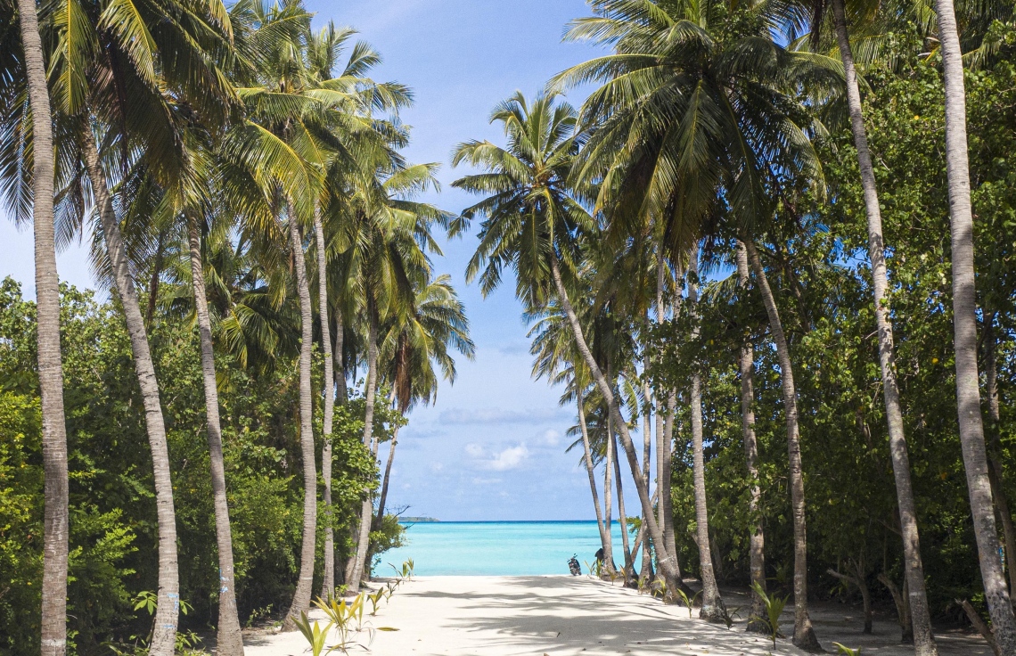 ރުކާއި މުރަނގަ އާލާކުރަން ކޮންސަލްޓެންޓުން ހޯދަނީ