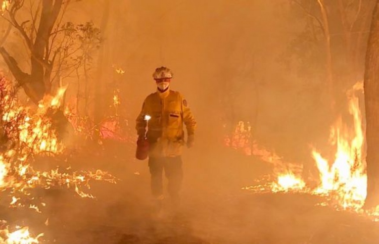 އޮސްޓްރޭލިޔާގެ އަލިފާން ނިންވުމުގައި ލޯތްބާ އެކު!