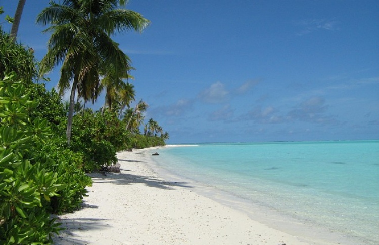 ޖާބިރުގެ ވަޓަވައްރެހާ ރިސޯޓު ވިއްކާލަނީ