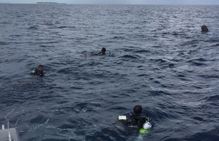 އެކްސިޑެންޓުގައި ބިދޭސީމީހާގެ ކަންފަތުން ބައެއް ވަކިވި