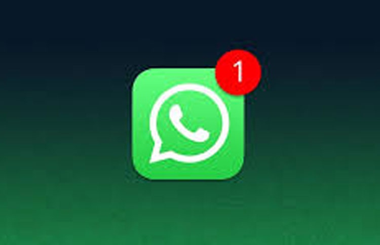 ވަޓްސްއެޕްގައި އިސްތިހާރުކުރުން މަޑުޖައްސާލައިފި