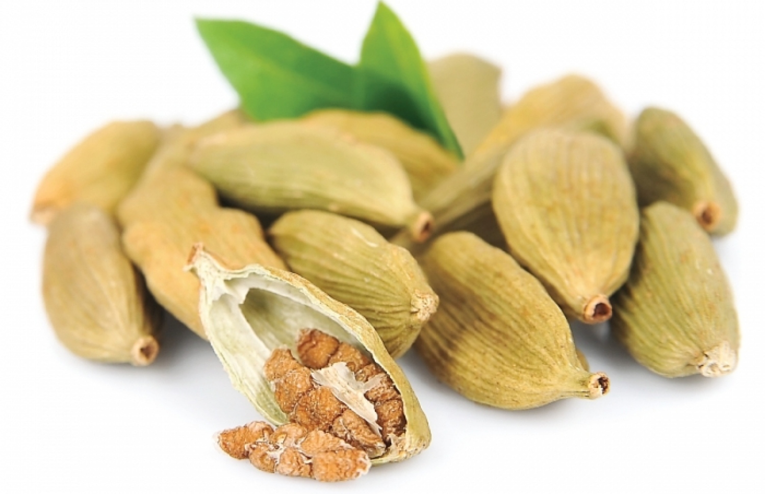 ކާފޫރުތޮޅި.