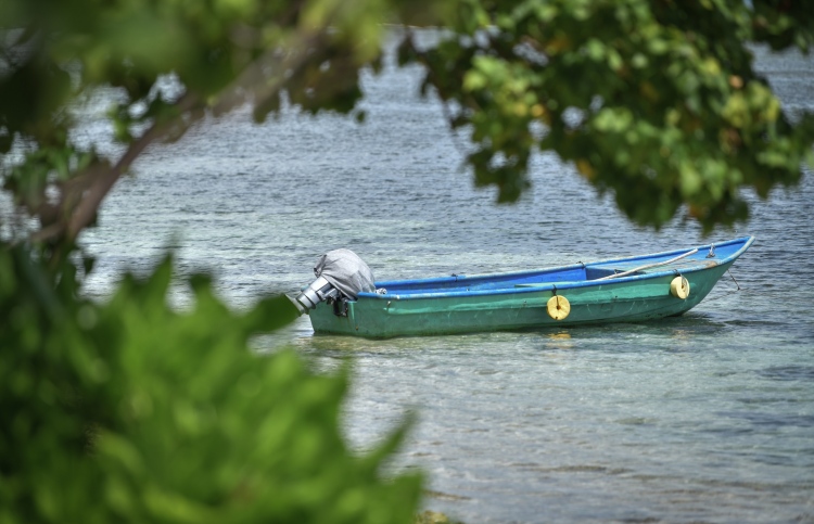 ކަނޑުހުޅުދޫ، މަސްތުވާތަކެތީގެ ހަބަކަށްވެ ކަންބޮޑުވުން
