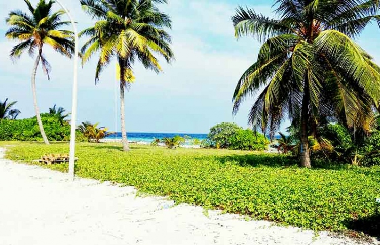 ކަމަދޫން އިތުރު މީހަކު ކޮވިޑަށް ޕޮޒިޓިވްވެއްޖެ