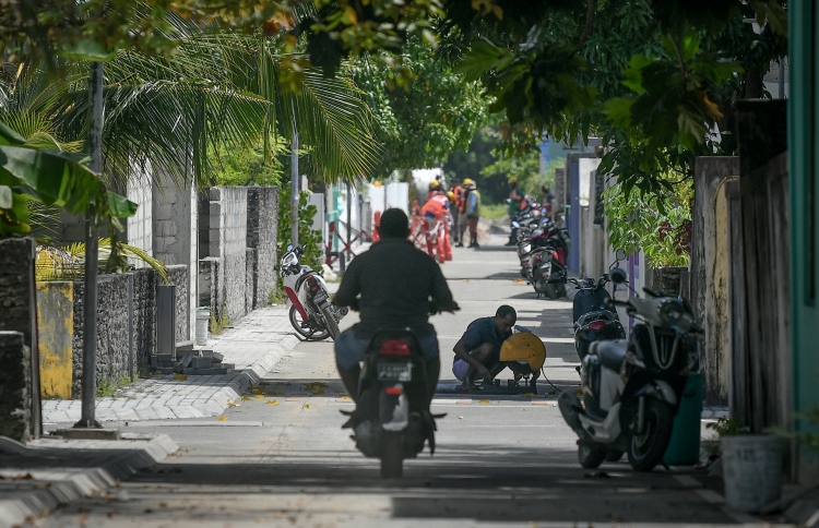 ވިލިނގިލިން މާލެ ނުގެނެވި ލަސްވި ކުއްޖާ ނިޔާވެއްޖެ