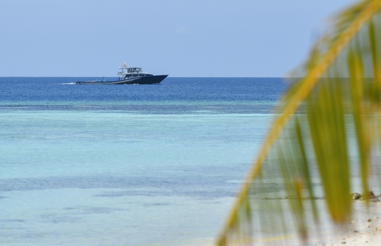 3އަހަރުގެ ކުއްޖަކާ ބެހުނު 76އަހަރުގެ މީހަކު ހައްޔަރު