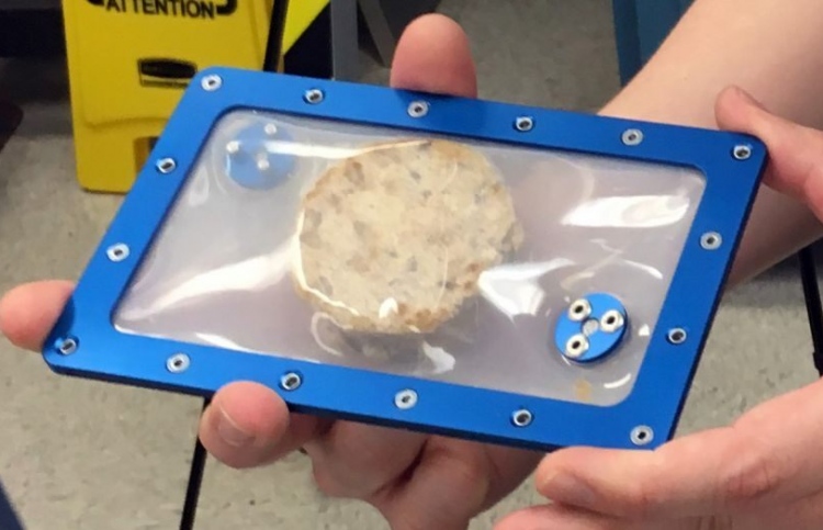 ޖައްވުގައި ކުކީޒް ފިހެ، ޓެސްޓްކުރަން ދުނިޔެ އަށް