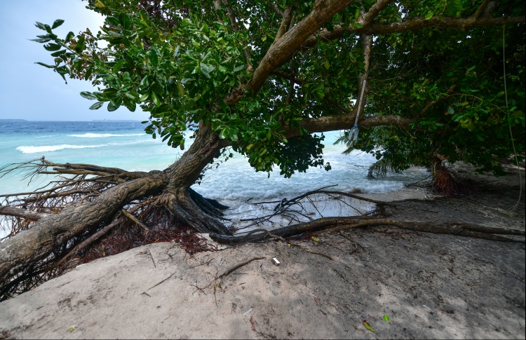 "މޫސުމީ އަސަރު ކުޑަކުރަން ފިޔަވަޅު އަޅަން މަޖުބޫރު"