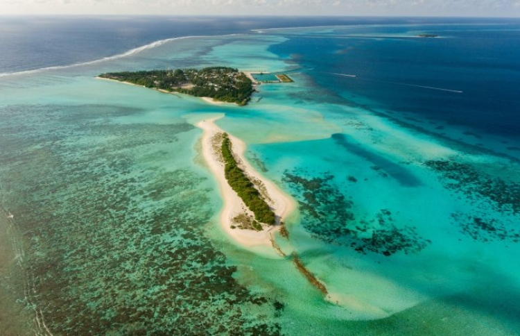 "ޑްރީމް ލޭންޑް" އާއި "ބީޗް ކްލަބް" ހުޅުވަނީ