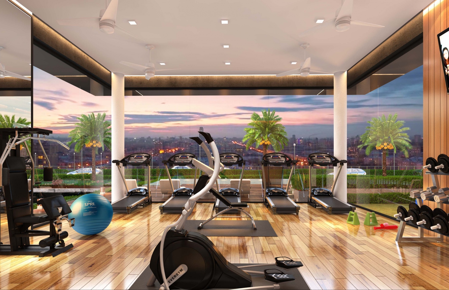 އަކުއާ ވީޓާ ރެޒިޑެންސްގައި ހުންނަ ޖިމް