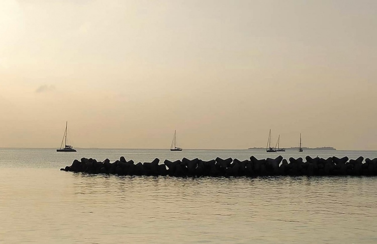 ފީތައް ކުޑަކުރާތީ އުލިގަމަށް ޔޮޓްތައް އަންނަން ފަށައިފި