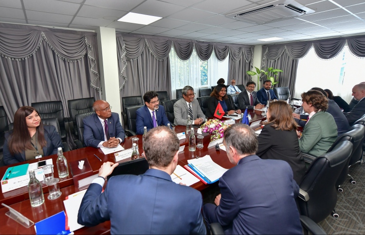 ހަރުކަށި ފިކުރާ ދެކޮޅަށް 43 މިލިއަންގެ ޕްރޮޖެކްޓެއް