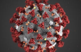 This handout illustration image obtained February 3, 2020, courtesy of the Centers for Disease Control and Prevention, and created at the Centers for Disease Control and Prevention (CDC), reveals ultrastructural morphology exhibited by coronaviruses. - Note the spikes that adorn the outer surface of the virus, which impart the look of a corona surrounding the virion, when viewed electron microscopically. A novel coronavirus virus was identified as the cause of an outbreak of respiratory illness first detected in Wuhan, China in 2019. (Photo by Lizabeth MENZIES / Centers for Disease Control and Prevention / AFP) / 