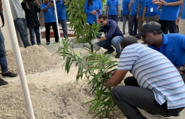 Utilities provider State Electric Company (STELCO) planted 3,000 plants across 35 islands. PHOTO: MIHAARU 